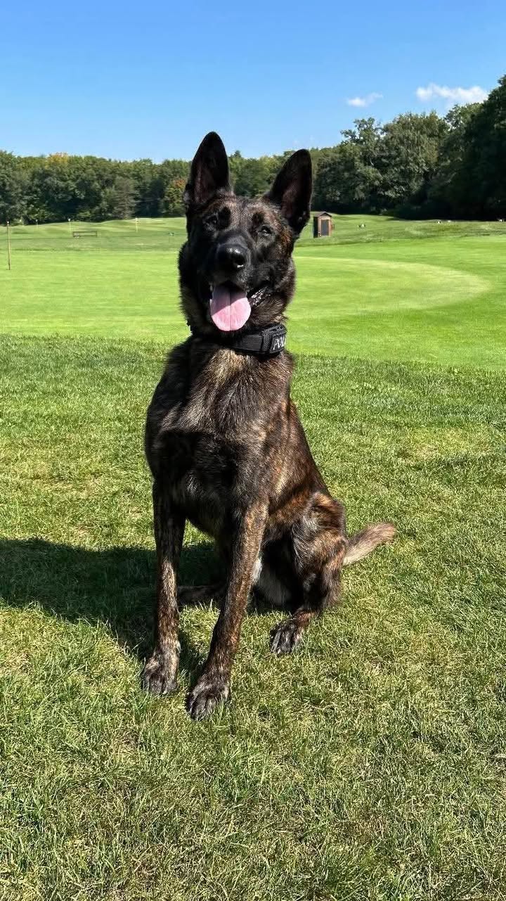 Town of Orchard Park Police Department