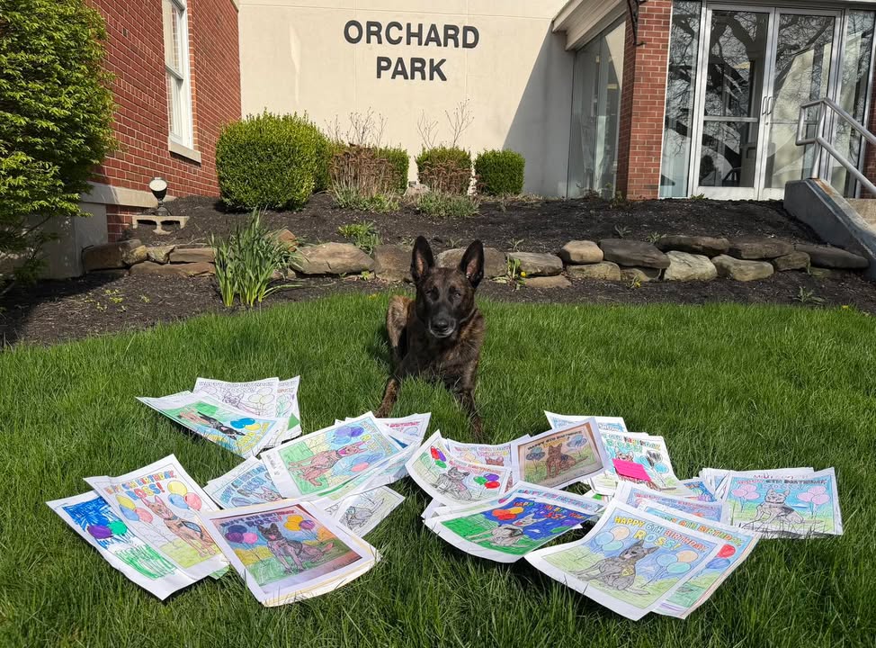 Town of Orchard Park Police Department