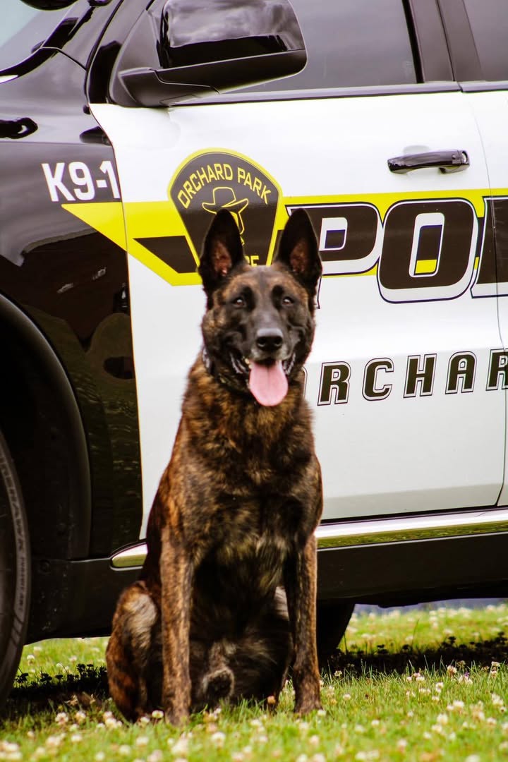 Town of Orchard Park Police Department